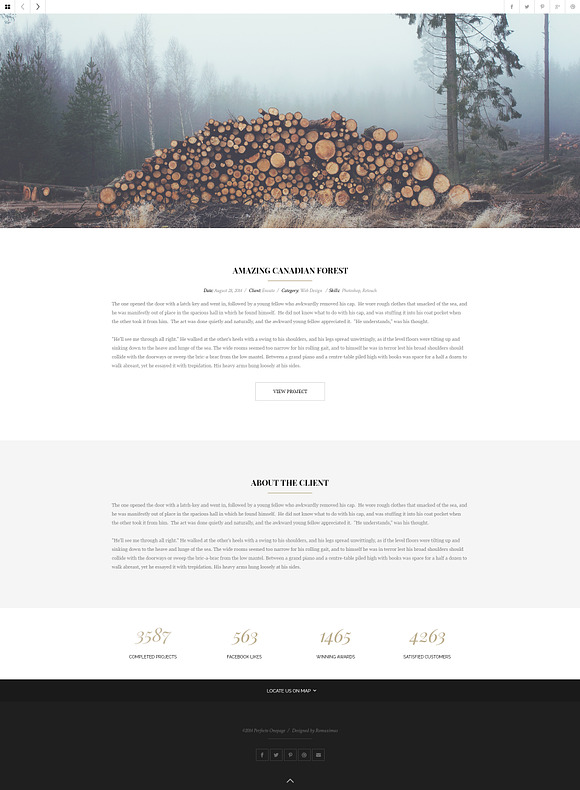 Perfecto - Creative Minimal Onepage in Landing Page Templates - product preview 1