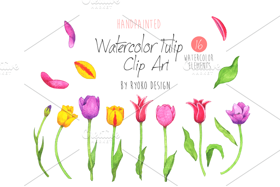 Watercolor Tulip flower clip art