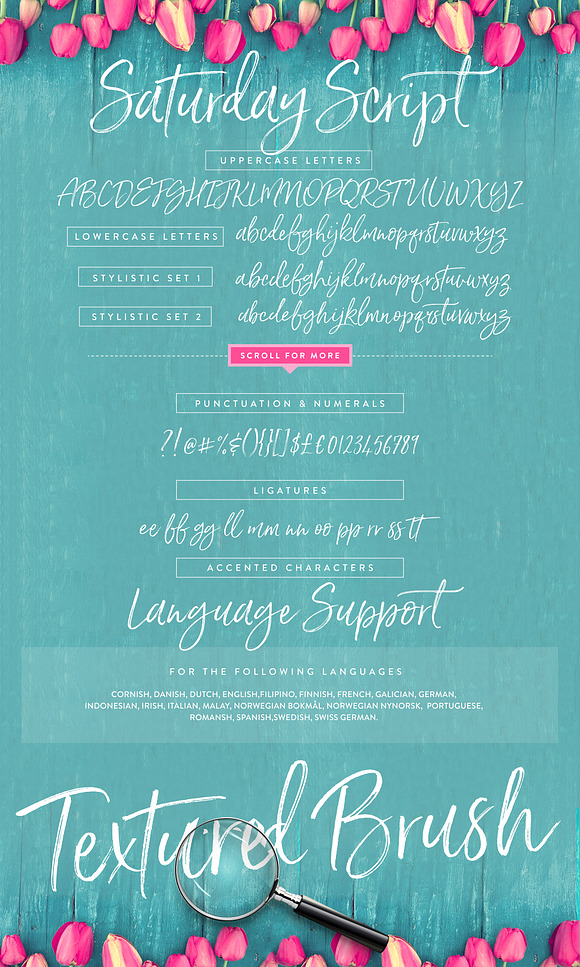 Saturday Script Brush Font in Brush Fonts - product preview 14