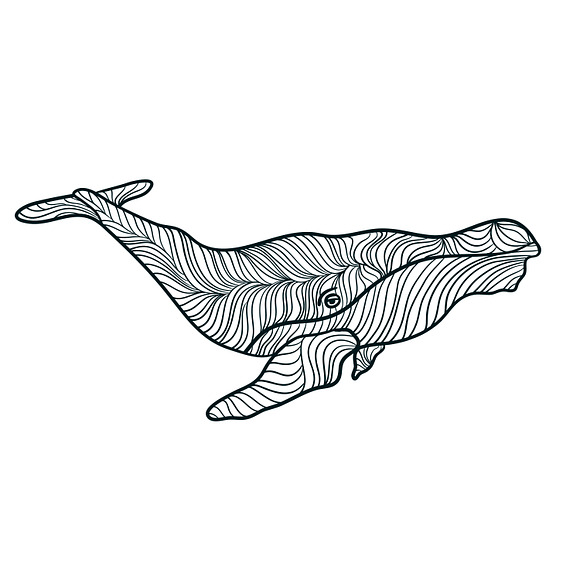 Set graphic whales, EPS+JPEG in Illustrations - product preview 1