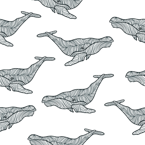 Set graphic whales, EPS+JPEG in Illustrations - product preview 2