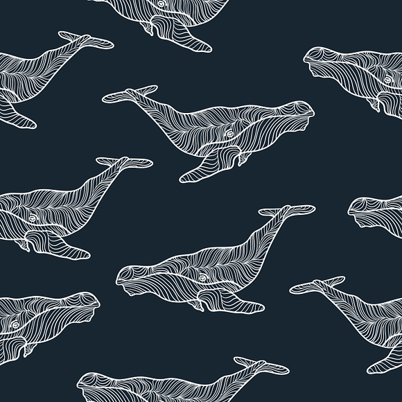 Set graphic whales, EPS+JPEG in Illustrations - product preview 3