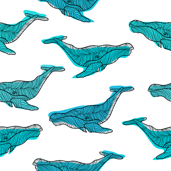 Set graphic whales, EPS+JPEG in Illustrations - product preview 4