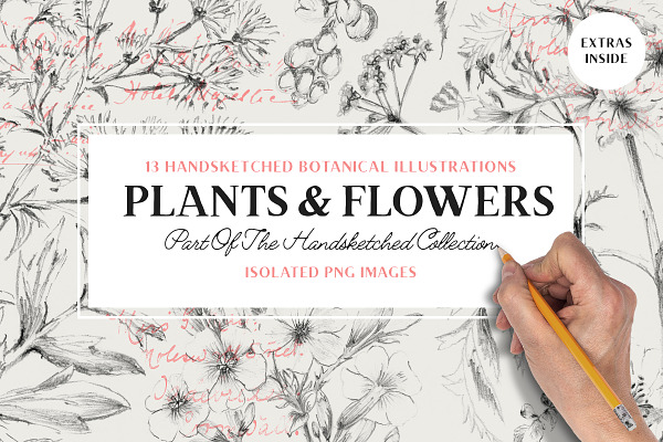 13 Botanical Illustrations & Extras