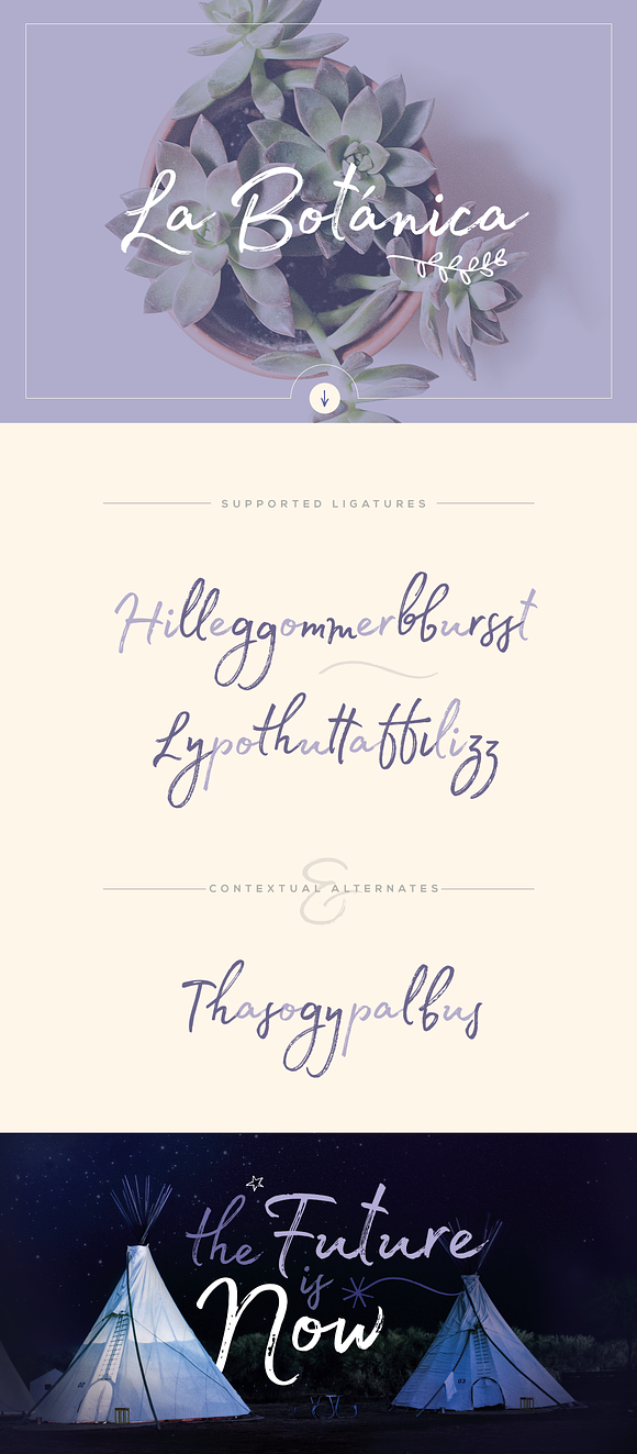 Madelyn Script in Script Fonts - product preview 1