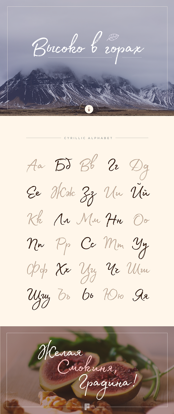 Madelyn Script in Script Fonts - product preview 3