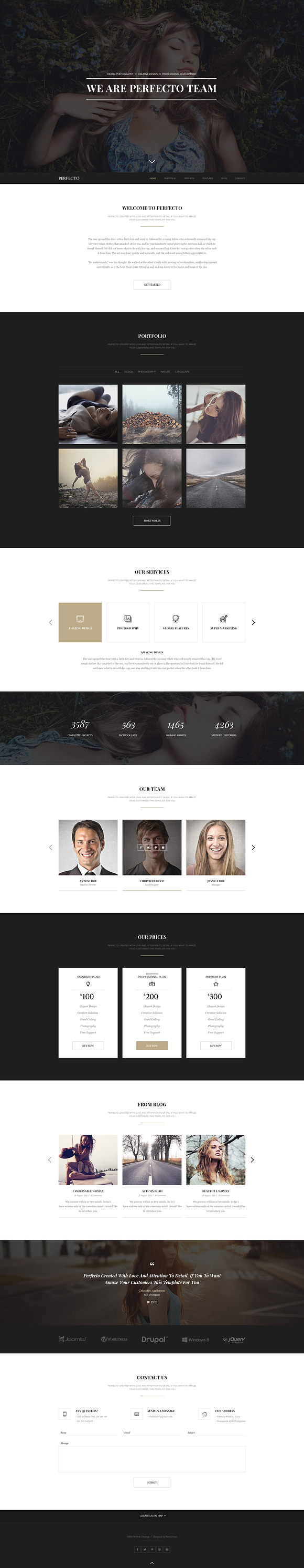 Perfecto - Creative Minimal Onepage in Landing Page Templates - product preview 2