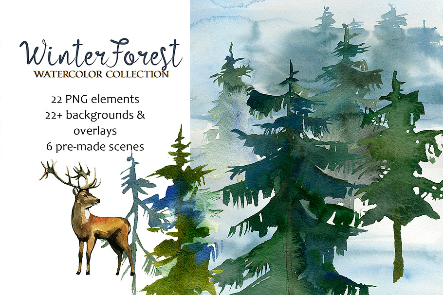 Forest Fir Trees Watercolor Clipart 