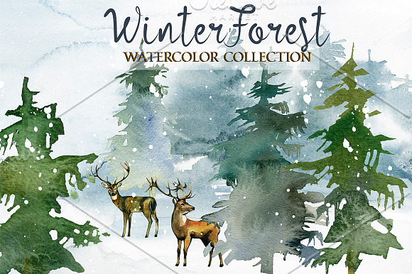 Forest Fir Trees Watercolor Clipart  in Illustrations - product preview 1