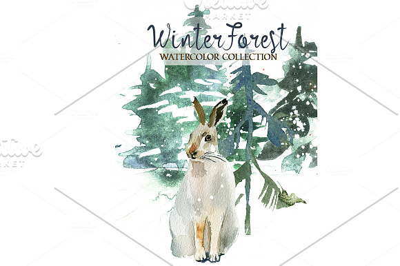 Forest Fir Trees Watercolor Clipart  in Illustrations - product preview 2