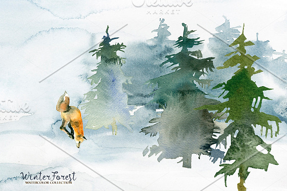 Forest Fir Trees Watercolor Clipart  in Illustrations - product preview 3