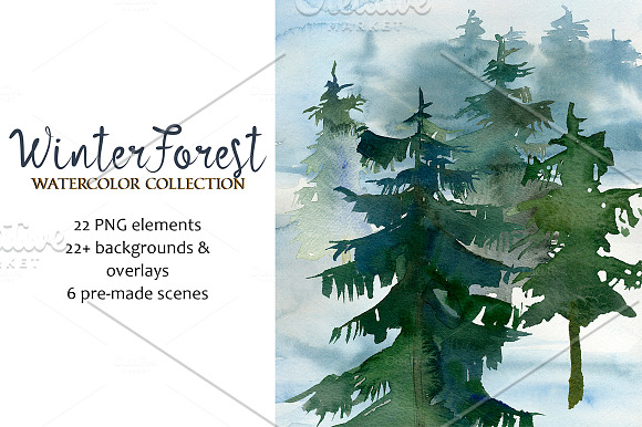 Forest Fir Trees Watercolor Clipart  in Illustrations - product preview 4