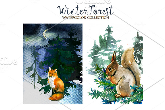 Forest Fir Trees Watercolor Clipart  in Illustrations - product preview 5