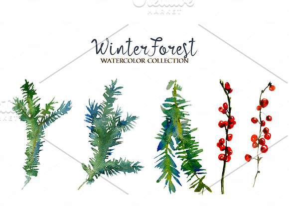 Forest Fir Trees Watercolor Clipart  in Illustrations - product preview 9