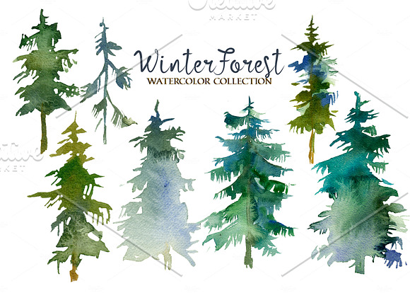 Forest Fir Trees Watercolor Clipart  in Illustrations - product preview 12