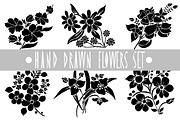 Hand Drawn Flowers and Patterns Set