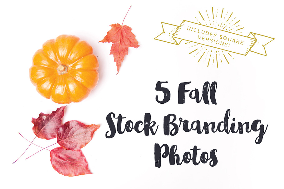 Fall Stock Brand Photos