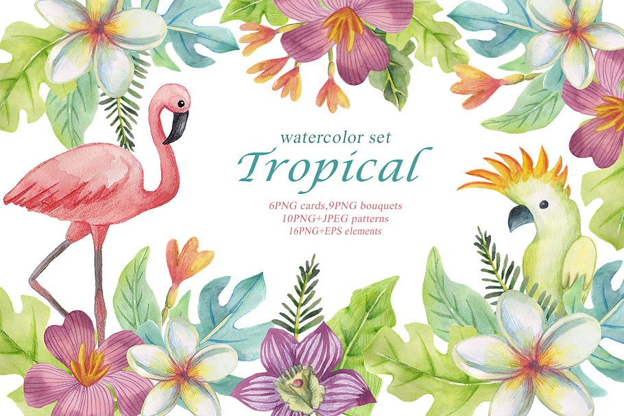 Tropical watercolor set in Illustrations - product preview 8