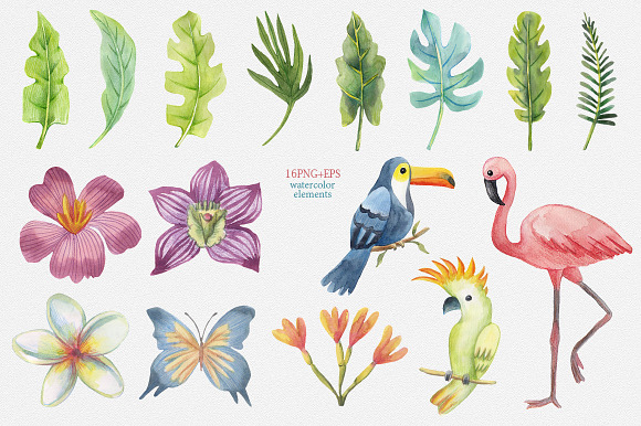 Tropical watercolor set in Illustrations - product preview 1