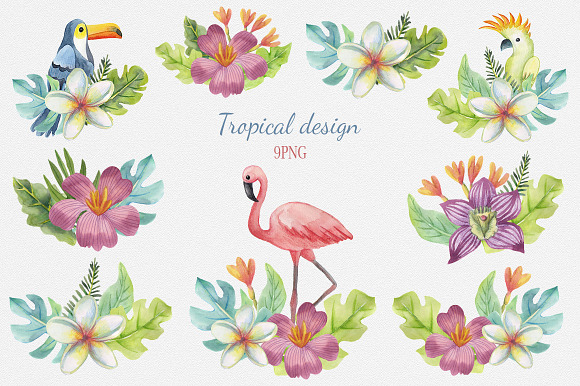 Tropical watercolor set in Illustrations - product preview 2