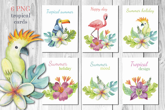 Tropical watercolor set in Illustrations - product preview 4