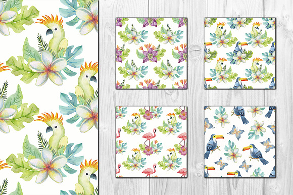 Tropical watercolor set in Illustrations - product preview 5