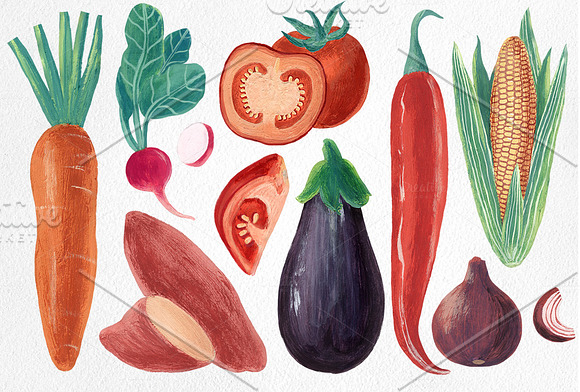 Vegetables illustration set in Illustrations - product preview 1