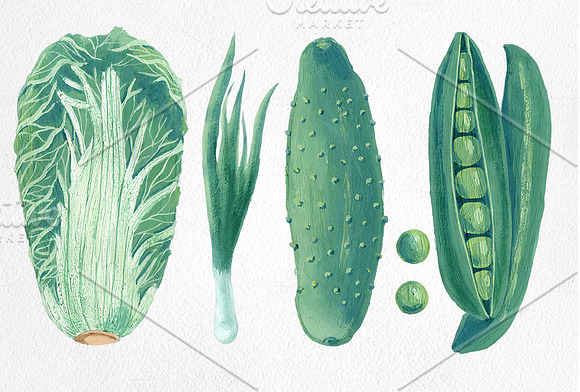 Vegetables illustration set in Illustrations - product preview 4