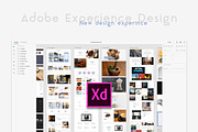 4ocal Web UI Kit for Adobe XD