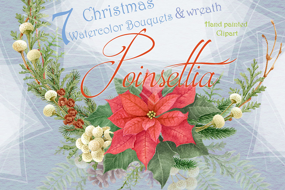 Christmas Star - Poinsettia in Illustrations - product preview 8