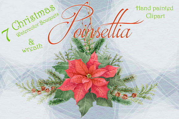 Christmas Star - Poinsettia in Illustrations - product preview 1