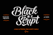 Black Script -12 fonts + extras pack