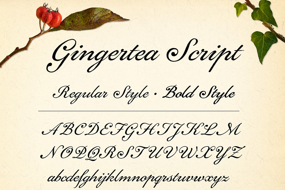 Gingertea Script Font in Script Fonts - product preview 8