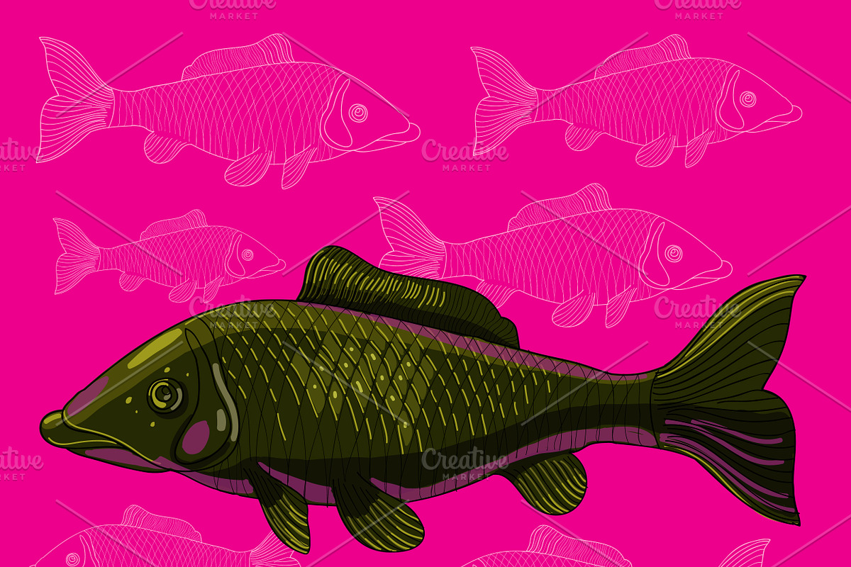 Koi fish in vector in Illustrations - product preview 8