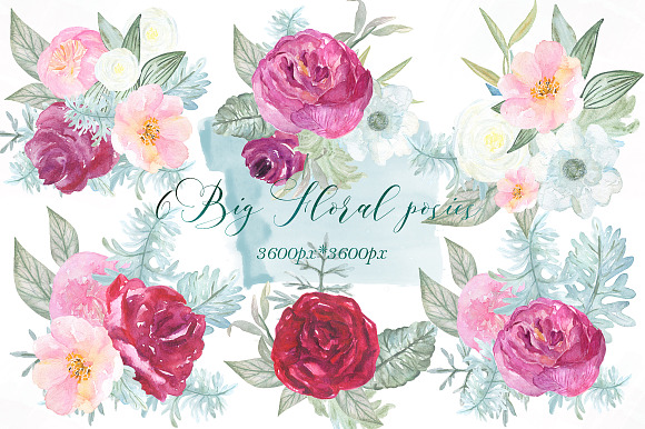 Dusty miller & english roses in Illustrations - product preview 5