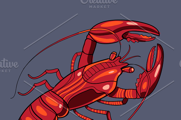 Lobster in vector