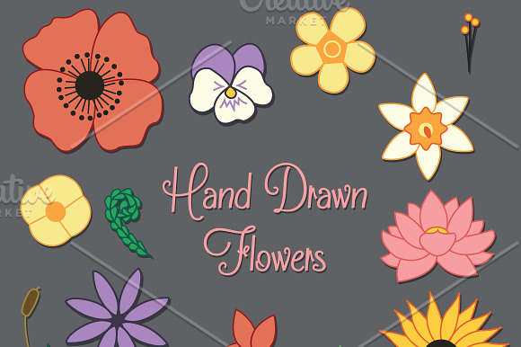Hand Drawn Flowers Set in Illustrations - product preview 1