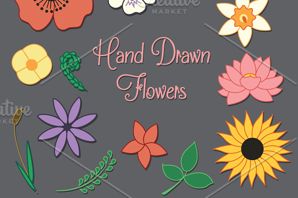 Hand Drawn Flowers Set in Illustrations - product preview 2