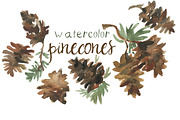 Watercolor Pinecones Clip Art