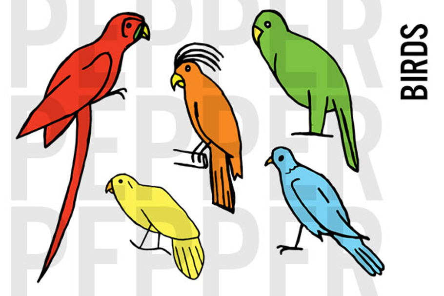 Bird Doodle Clipart in Illustrations - product preview 8