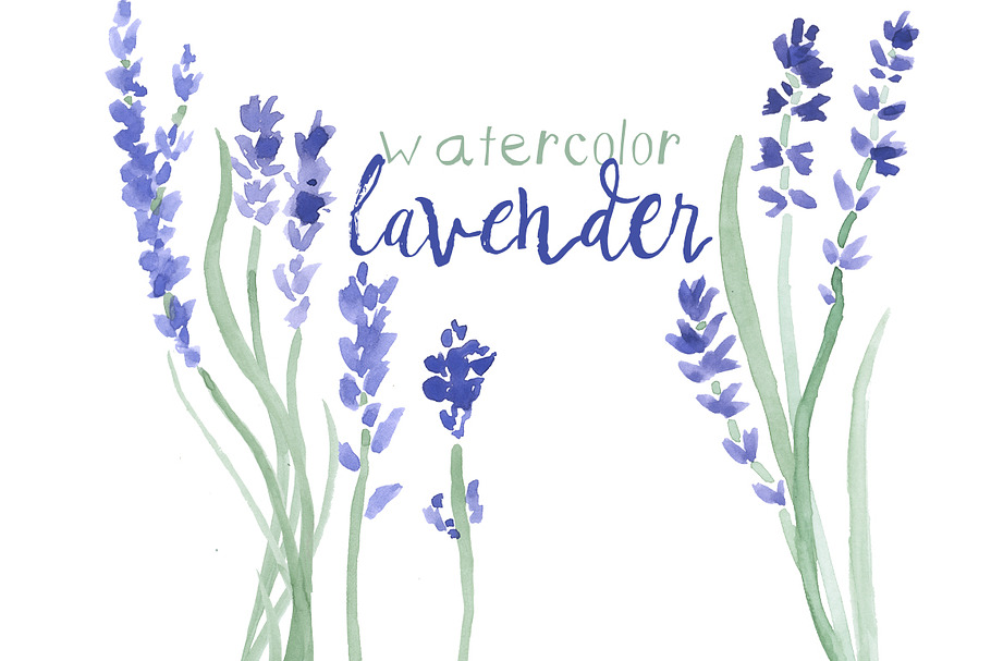 Watercolor Lavender Clip Art in Illustrations - product preview 8
