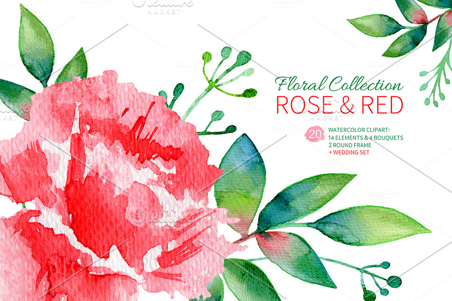 Watercolor Rose Set