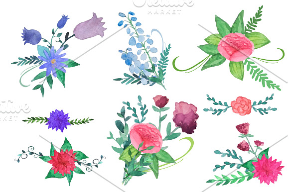 Watercolor flowers pack in Illustrations - product preview 3