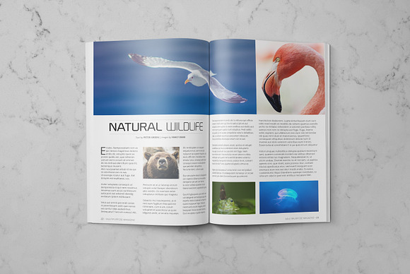 Multipurpose Indesign Magazine 01 in Magazine Templates - product preview 14