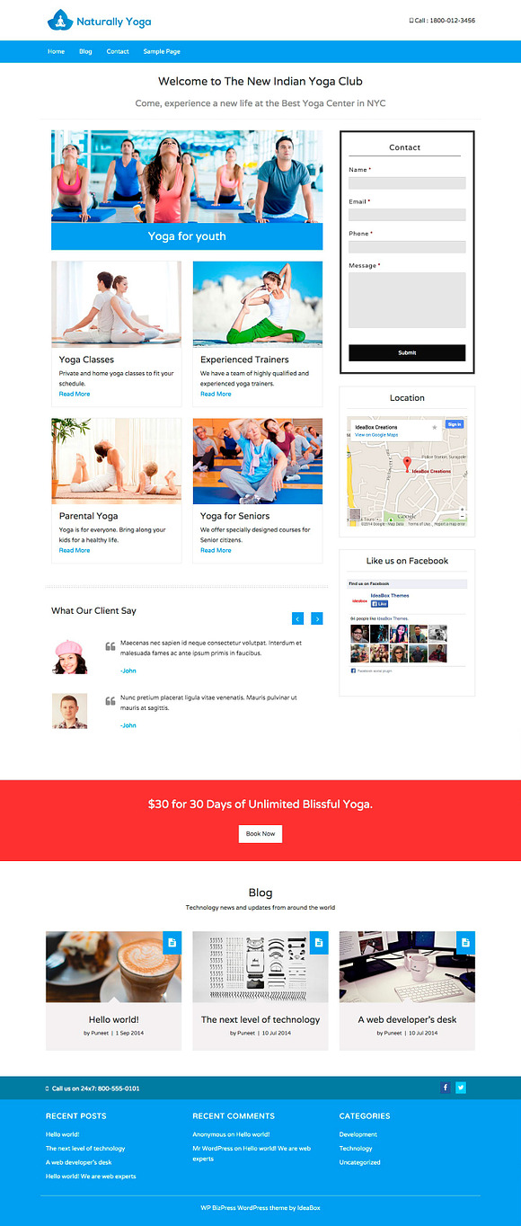 BizPress Local Business Theme in WordPress Business Themes - product preview 2
