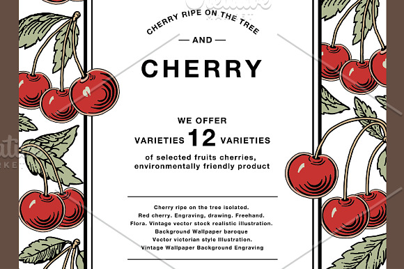 Cherry ripe fruit food Card Frame in Illustrations - product preview 4