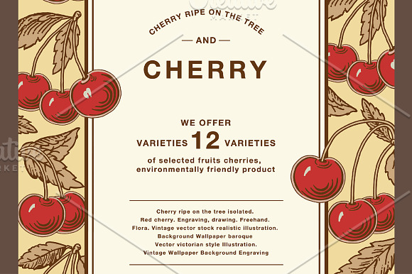 Cherry ripe fruit food Card Frame in Illustrations - product preview 5