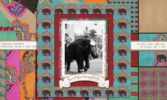 Elephant Caravan Digi Paper Pack in Patterns - product preview 3