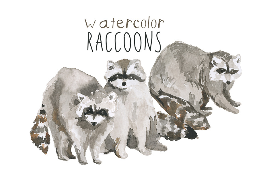 Watercolor Raccoons Clip Art