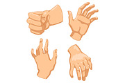 Set of human hands